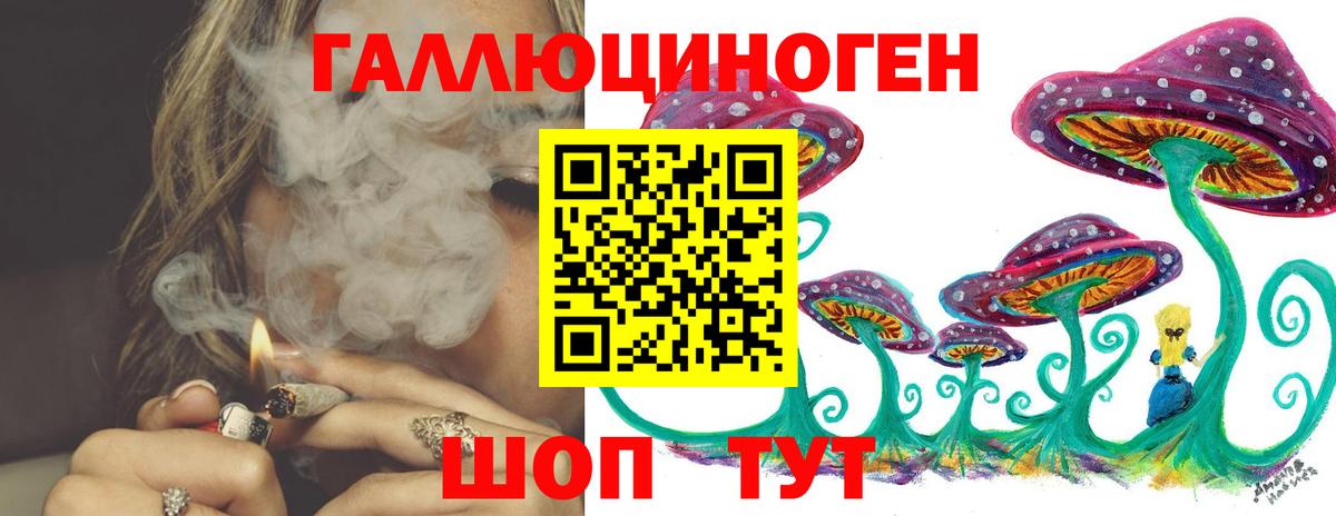 Галлюциногенные грибы Psilocybe  Вход с VPN  Тихвин 